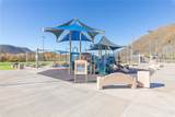 36456 Shedera - Photo 53