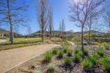 36456 Shedera - Photo 56
