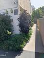 220 Palm Avenue - Photo 10