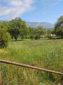 35400 Spanish Oak - Photo 1