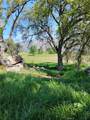 35400 Spanish Oak - Photo 3