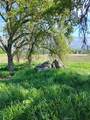 35400 Spanish Oak - Photo 4