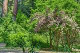 450 Vine Hill Road - Photo 33