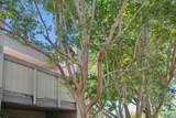 801 California Avenue - Photo 22