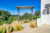 27117 Santolina Street - Photo 61