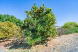 27117 Santolina Street - Photo 62