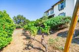 27117 Santolina Street - Photo 64