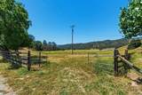 31341 Airline Highway - Photo 31