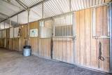 35290 Butterfly Peak Road - Photo 12