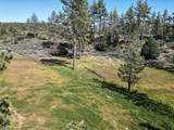 35290 Butterfly Peak Road - Photo 19