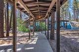 35290 Butterfly Peak Road - Photo 52