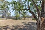 35290 Butterfly Peak Road - Photo 6