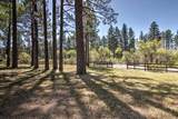 35290 Butterfly Peak Road - Photo 66