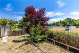 4541 Yerba - Photo 41