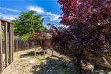 4541 Yerba - Photo 42