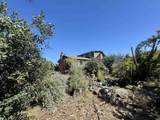 1181 Bush Avenue - Photo 55