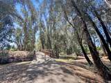 1246 Paseo Redondo - Photo 42