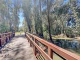 1246 Paseo Redondo - Photo 43