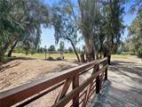 1246 Paseo Redondo - Photo 44