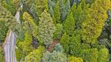 1 Skyforest - Photo 4