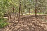 53435 Marian View Drive - Photo 51