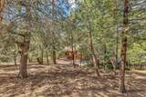 53435 Marian View Drive - Photo 53