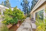 41 Hillgrass - Photo 36