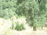 1990 Bayberry Drive - Photo 34