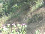 1990 Bayberry Drive - Photo 35