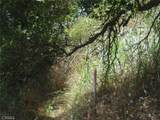1990 Bayberry Drive - Photo 39