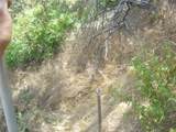 1990 Bayberry Drive - Photo 48