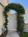 23044 Canyon Hills Drive - Photo 15