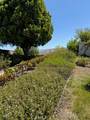 23044 Canyon Hills Drive - Photo 21