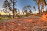 6936 Quail - Photo 11