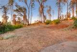 6936 Quail - Photo 5