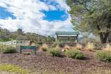 2726 Bridle Trail Lane - Photo 2