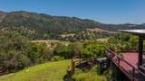 10622 Encino Drive - Photo 30
