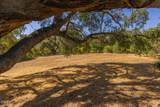 10622 Encino Drive - Photo 35
