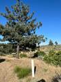 40007 92nd Street - Photo 4