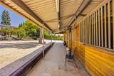 8523 Quarter Horse - Photo 44