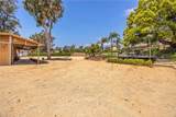 8523 Quarter Horse - Photo 46