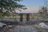 979 Old Woman Springs Road - Photo 43