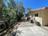 49116 Hibiscus - Photo 11