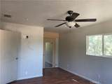 49116 Hibiscus - Photo 16