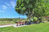 28052 Via Chocano - Photo 3