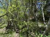 0 Wild Rose - Photo 5