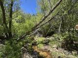 0 Wild Rose - Photo 7