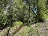 0 Wild Rose - Photo 8