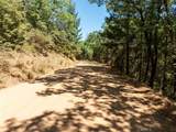 9600 Seigler Springs North Road - Photo 31