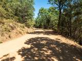 9600 Seigler Springs North Road - Photo 32